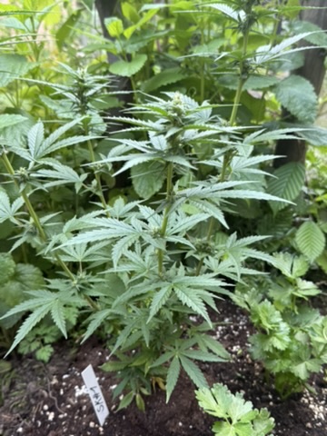 DAD80FE8-FAC1-4B9F-BCAB-5ACD30ABC3A2_4_5005_c