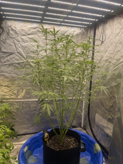 96360901-85F0-4640-907B-BAFB6C453059