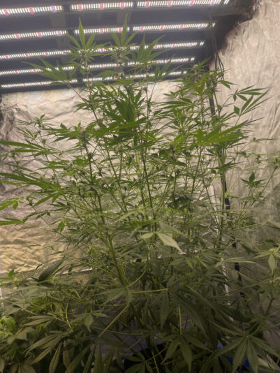 B41C73AA-23A2-4506-8FE6-6BD6ECD88DFD