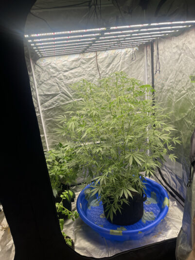 AE7D2414-475E-4DD9-B10A-7623AD0D6644