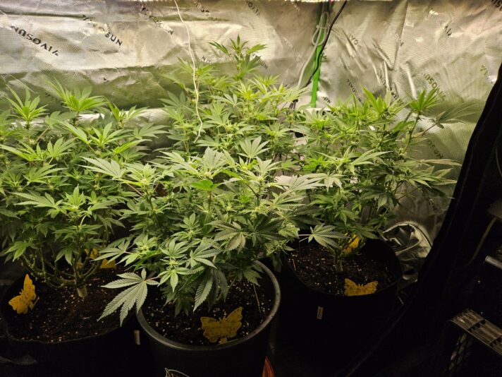 6fdd66b9-4269-464f-bee2-a1e9da5e9901