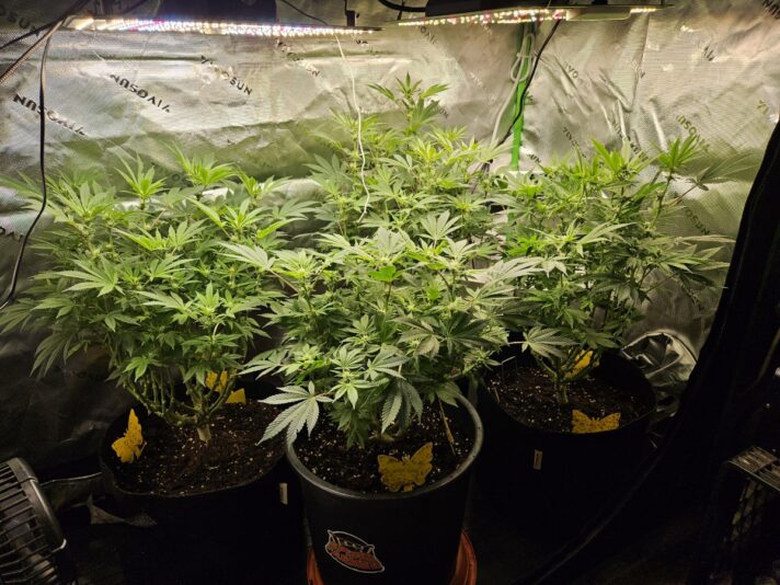 8d4b0cb5-e219-4681-8e5a-4a2bb3974803