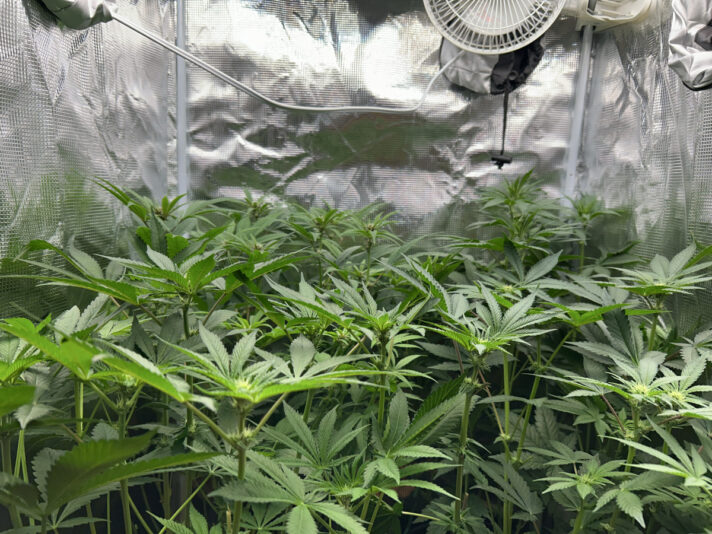 00B4A154-3726-4199-AF8C-273AF4D3EC69