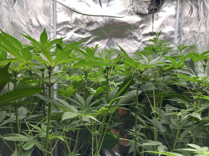 1A65AD90-C4D9-4CF4-818D-41E61B8182E6