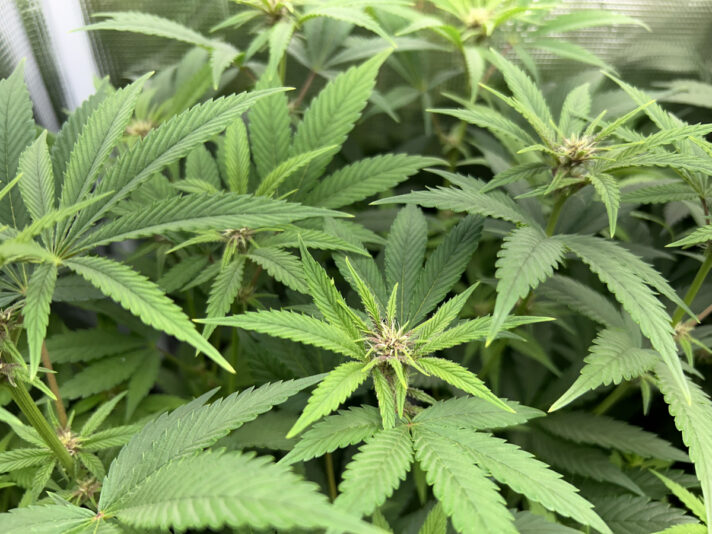 845582C3-C576-4CAD-824E-D3015592FF74