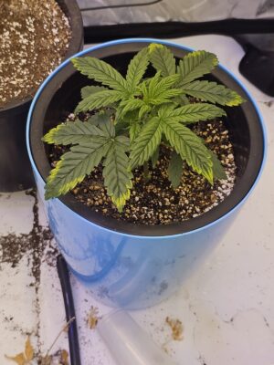 2e0c84dd-85c2-43f8-9fbc-72325f262701