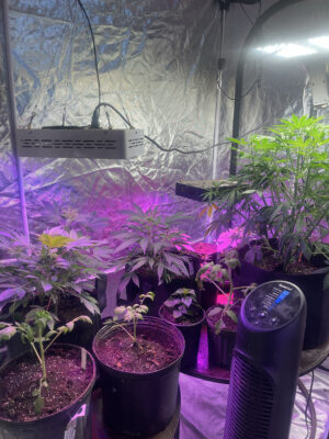 2A318D33-48F9-466C-814F-CC0432CAE007