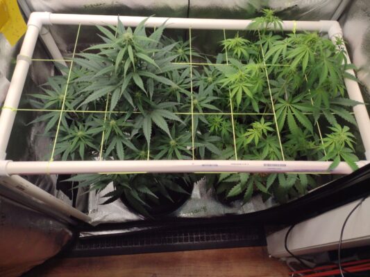 5ecec84d-2292-429a-83e6-8878c197465f