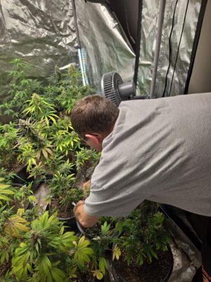 76418294-3f39-48cd-bb1d-efa698696cfe