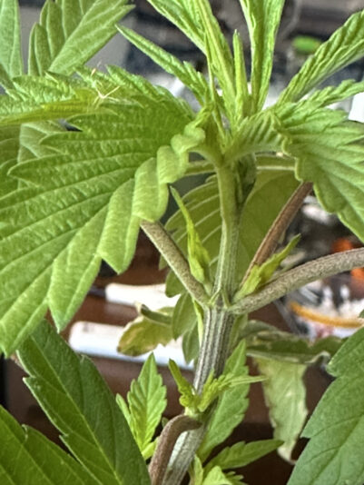 1E5AD447-D9C5-4048-A094-8191763B4EAC