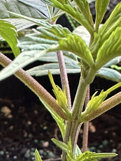 6BB2DDF6-225C-475A-A1A0-EB68E51A608B