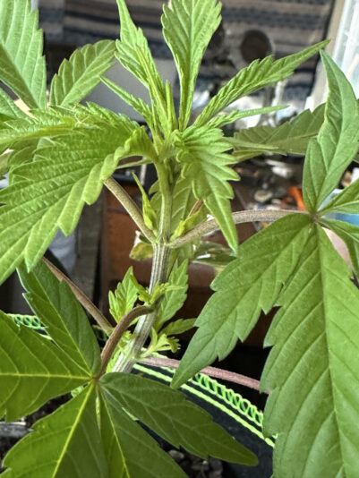 770E72F4-C34C-4913-81EA-3ED9B0620713