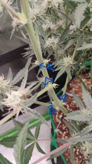 IMG_20250508_094735874