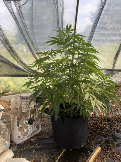 2255F9AF-EDE4-4C37-B0DC-7EDF15657CD2