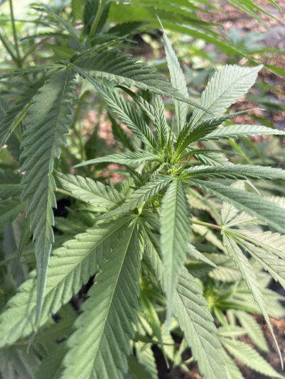 A69EE948-299D-461F-9E61-1A59E6ECEA6F