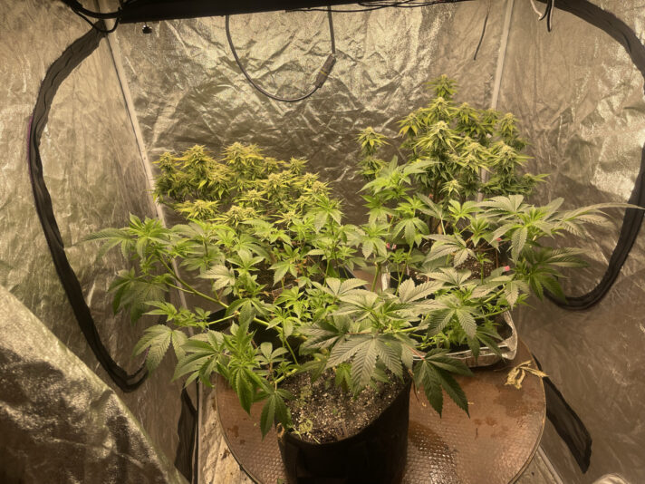 1F51E441-EC27-45C0-9100-B18EF0FBD843