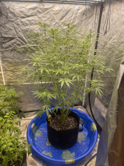 5FAE9885-8486-4D39-89FC-D1FB6E60E2B8