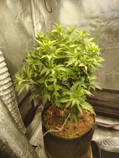 73889fe6-6bf4-46b7-bfe2-9c918c34d7df