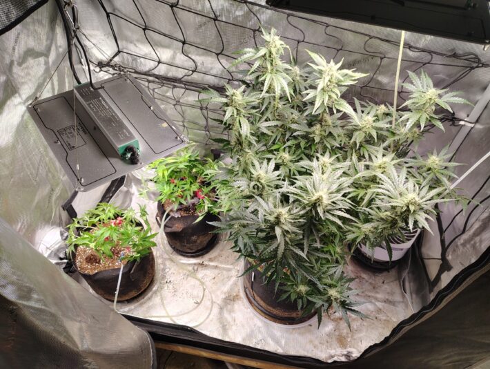 24a9f327-e353-475a-bc6b-aa6297c21551