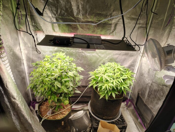 dbe8527d-f290-449a-9c9d-b80f61c8e4fe