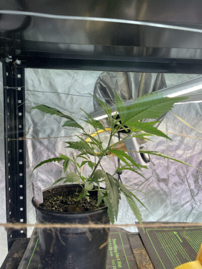 3BF67348-F6CC-4ABA-84D7-27601DE14969