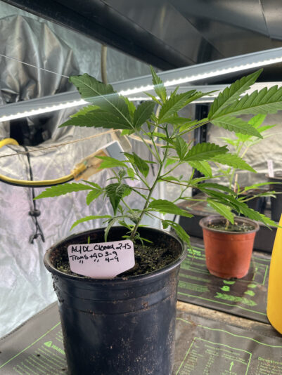 7A05D051-E628-4376-842D-9D5A15C7DD0C