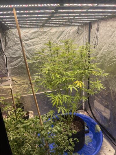 538AF138-DDCB-43FC-956F-54091DDB176B