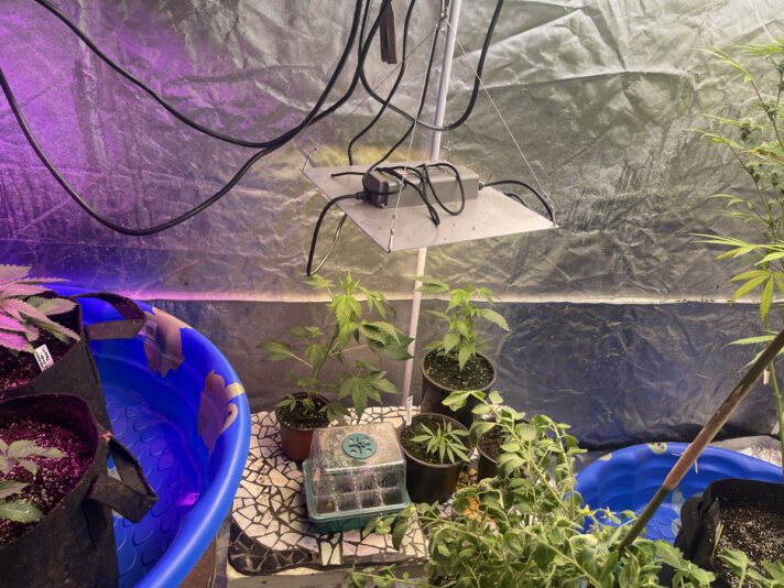 C811CA37-EFE6-491C-A84F-05DCAAF1854E