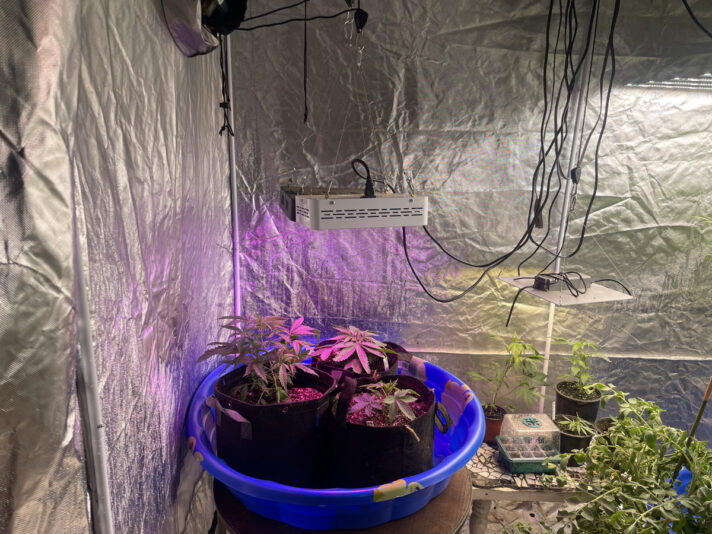 DEE61395-159E-47EE-B75C-C4587CC8614B