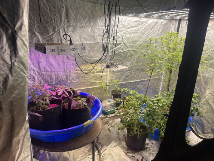 F1354A0E-8E33-42BB-9108-032E262E30C6