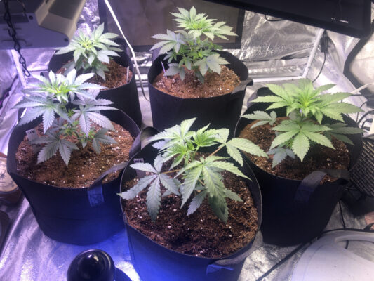 64EBEE1B-0D7E-4567-87ED-51293B1CE489