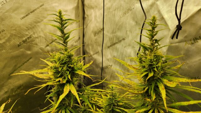 67267819-6570-47f0-bcc4-0f887467a2c2