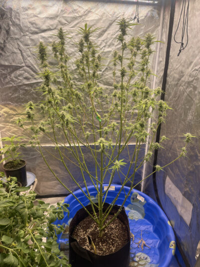 F7C15719-240E-4010-8950-477098C1907B