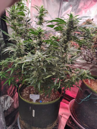 5705b560-15c2-4b30-a6b8-959e8db25db1