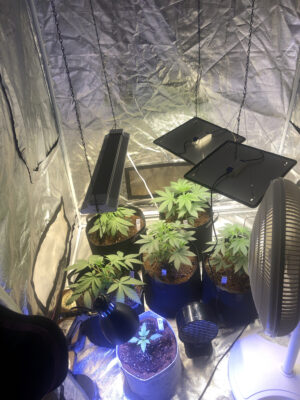 3F56266E-7A5A-471C-8285-04905AA3DF77