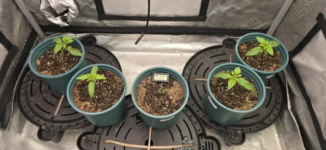 1110860d-4c77-4fae-998d-54b5a0862bd7