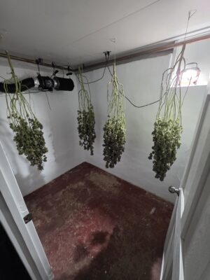 b813433e-c9b4-49b1-b951-6bb433aac89b