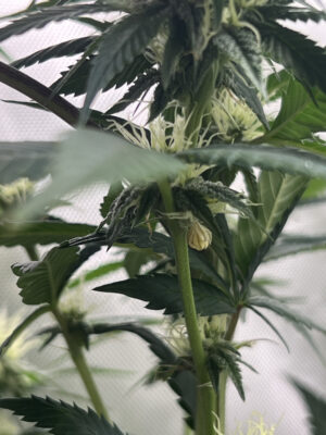 9D602503-0D43-4F20-BB44-71358B5F1369