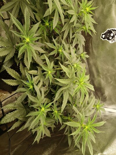 2ff9dc5d-8f65-49a5-a8c0-f4b3df6d9f10