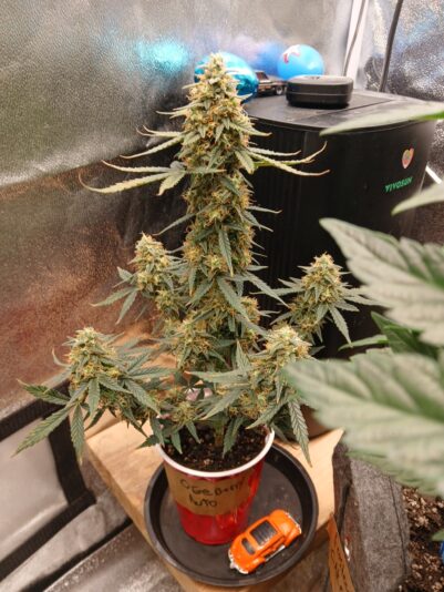 664727ad-5214-4edb-b17e-46716c790afb