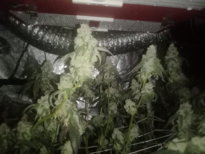 0c9e87a3-f9c5-4006-9cea-a50254cdc51c