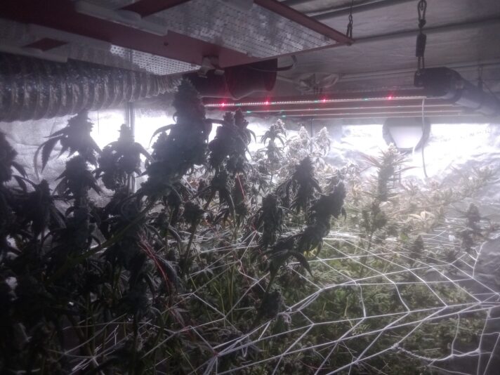 1634265c-188f-46f3-95f0-65d3fd58d2a7