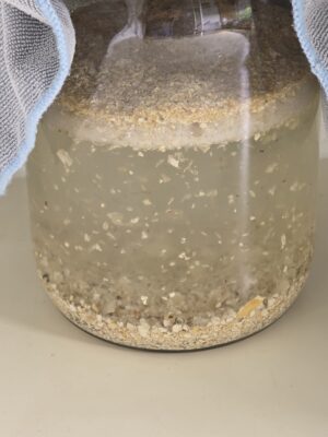 0fee7be0-0891-425a-8f66-eac35eb5cc33