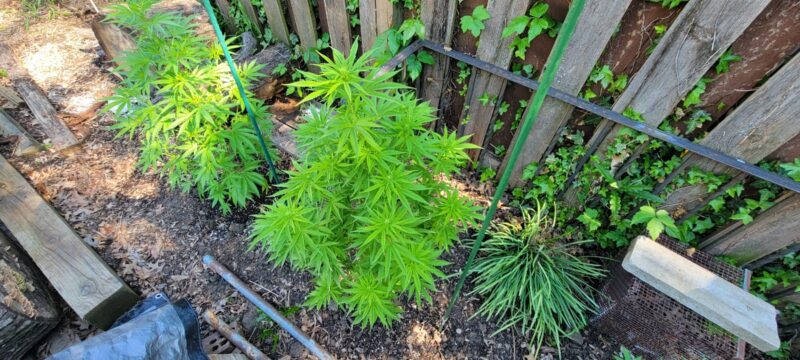 a88f6f6c-1a4a-422e-92c4-585c510fea7b