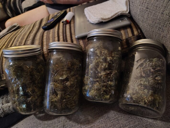 ae409aec-a0de-4b80-a8d7-e989312f44d1