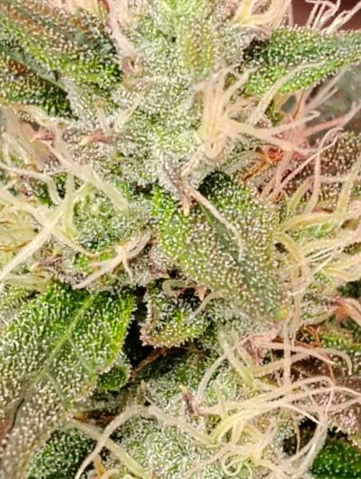 906987eb-a15d-4232-b90f-514a6a52254f