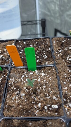 b872d820-309b-48a4-855a-94919f40aa0a