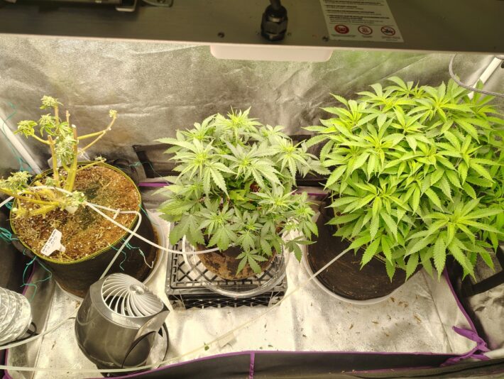 12fe173c-6521-449b-8d4f-c0a53ab5643a