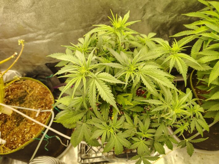 5ffa78c2-6da9-48ad-a4ef-9ce327967f5d