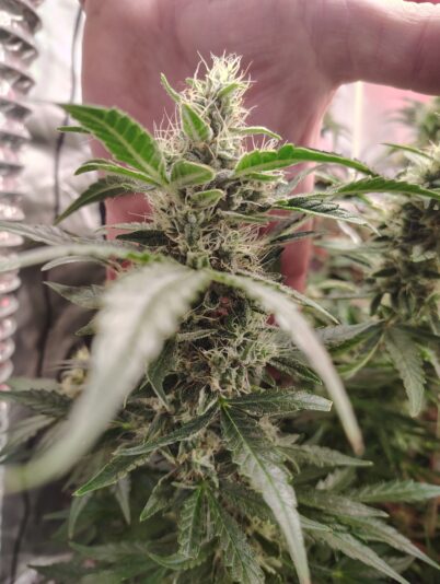 77149d14-8ac5-40ff-9746-b1a11e73ee80